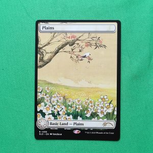 Plains #1339	Secret Lair Drop (SLD) Hologram/Holostamp mtg proxy magic the gathering proxies cards gp fnm playable
